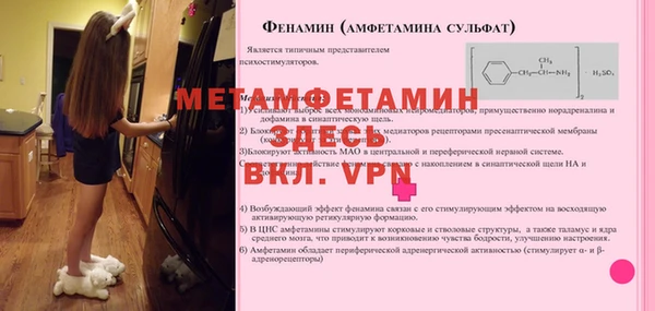 spice Богородск
