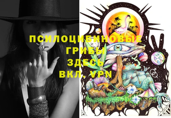 прущие крисы Тутаев