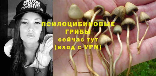 амф Остров