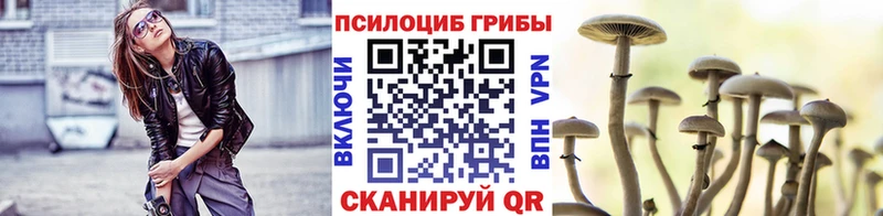 OMG вход  Сальск  Галлюциногенные грибы Psilocybine cubensis 